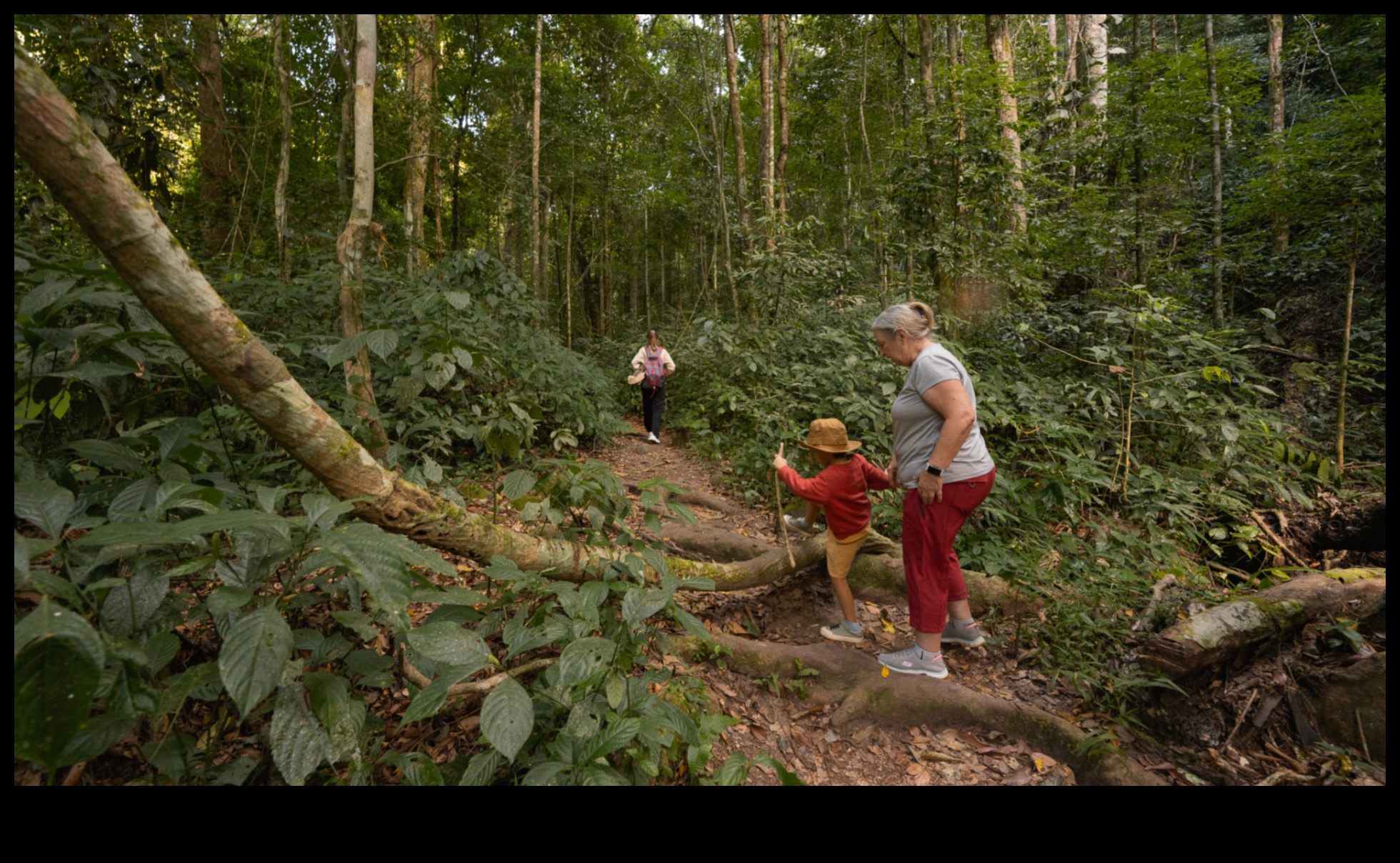 Dincolo de jungla urbană: aventuri hibride în peisaje îndepărtate