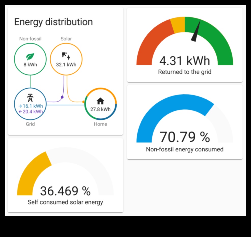 Putere personalizată: electronice pentru personalizarea consumului de energie al casei dvs