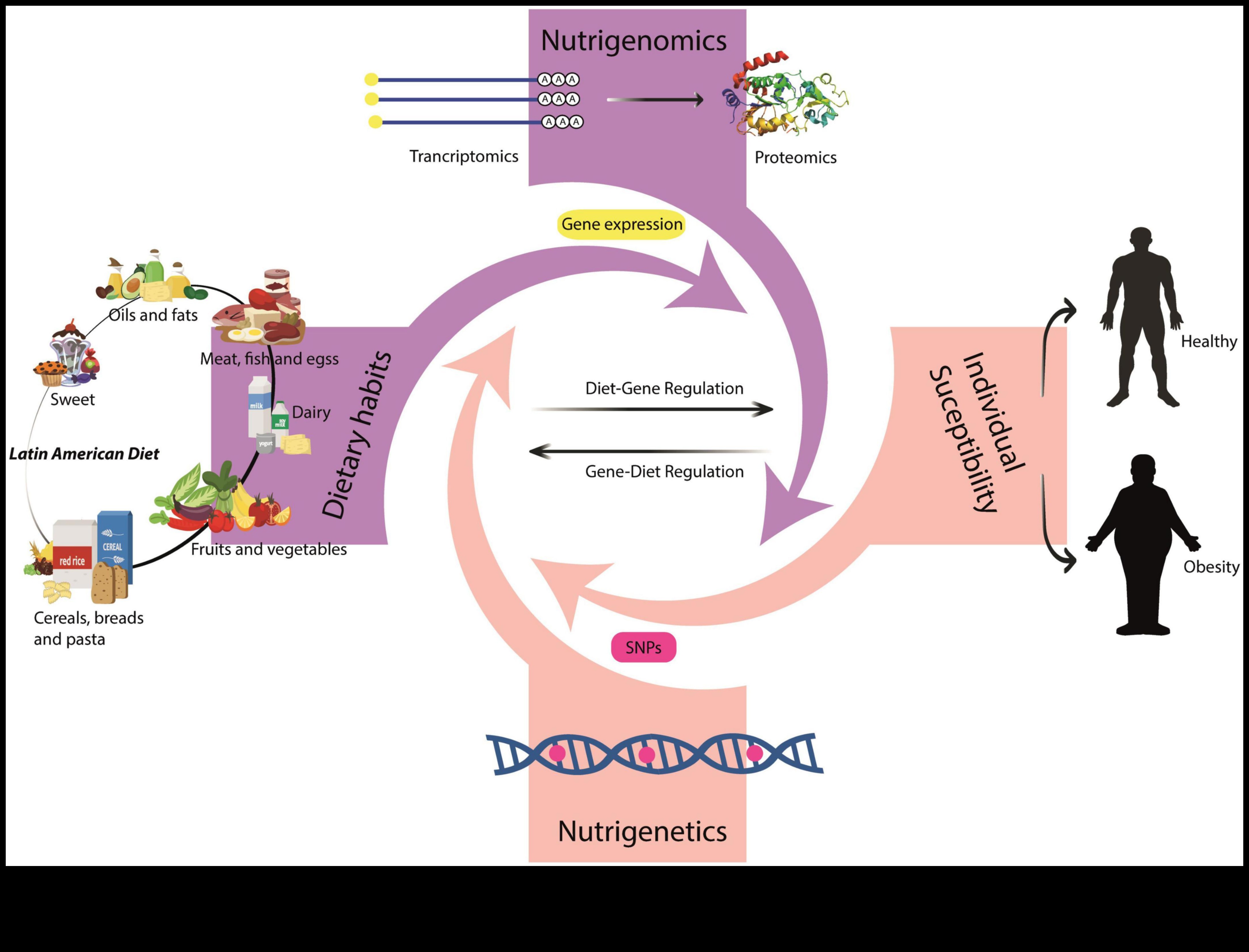 Dietele stilului de viață și influența geneticii asupra rezultatelor