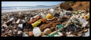 Plastic A Coastal Plague